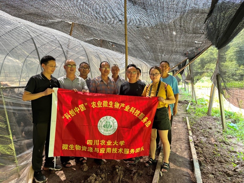 美狮贵宾ms092021官网