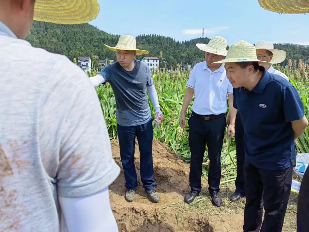 美狮贵宾ms092021官网
