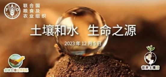 美狮贵宾ms092021官网