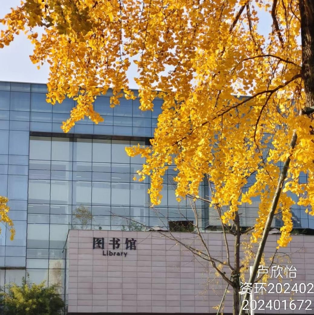 美狮贵宾ms092021官网