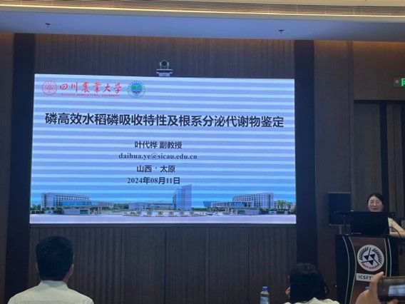 美狮贵宾ms092021官网