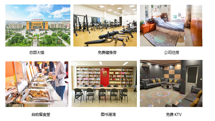 美狮贵宾ms092021官网