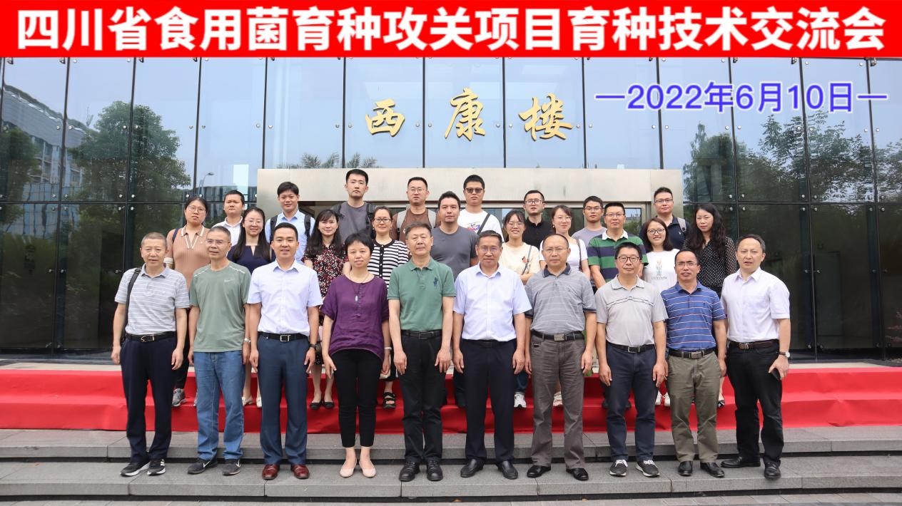 美狮贵宾ms092021官网